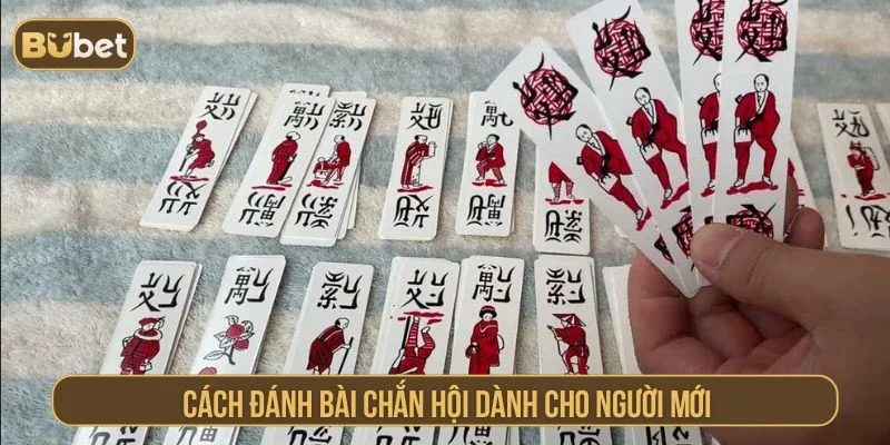 Bài chắn hội