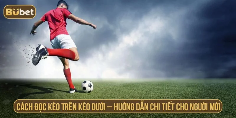 cách đọc kèo trên dưới