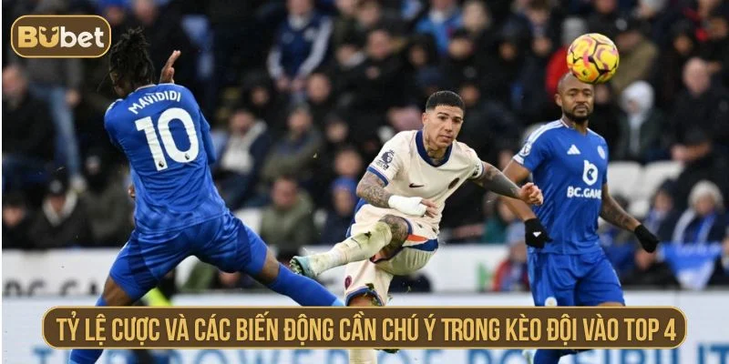 Cần chú ý đến biến động của kèo
