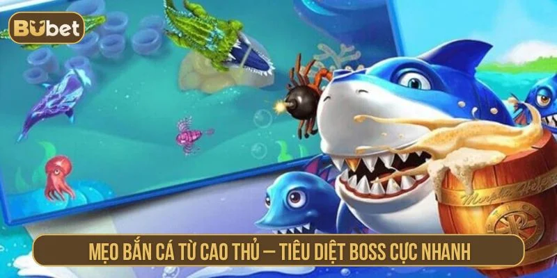 Vương Quốc Cá Thần BUBET – Săn Thưởng Cực Đã Mỗi Ngày Gợi ý các mẹo săn cá lớn hiệu quả