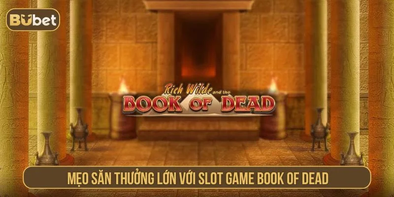 Book of Dead – Slot Game Với Cơ Hội Nhân Tiền Gấp 5.000 Lần Tham khảo các mẹo săn thưởng hiệu quả