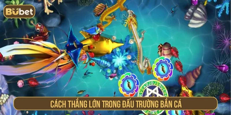 So Tài Săn Thưởng Đấu Trường Bắn Cá BUBET Tham khảo cách chơi đấu trường bắn cá