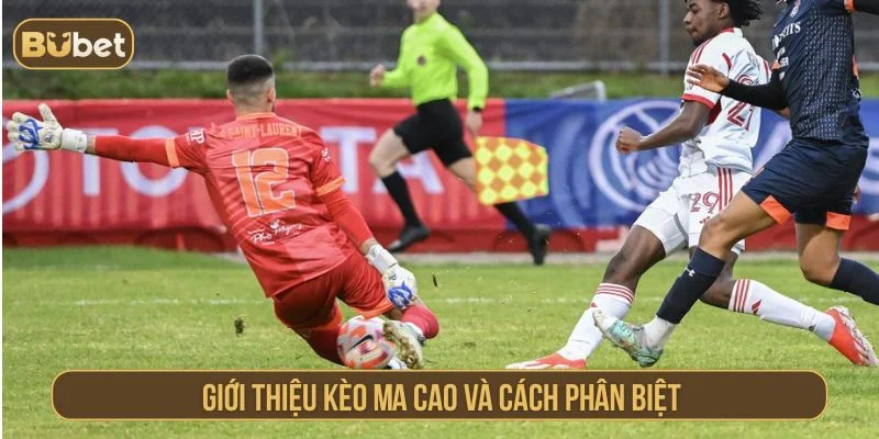 Cách Đọc Kèo Ma Cao Dễ Nhớ – Bí Quyết Của Cao Thủ Tìm hiểu cách phân biệt kèo Ma Cao