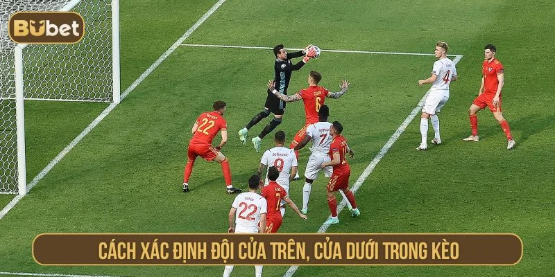 Xác định cửa cược trong kèo trên dưới rất quan trọng